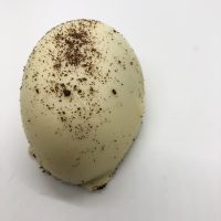 white chocolate oreo easter egg